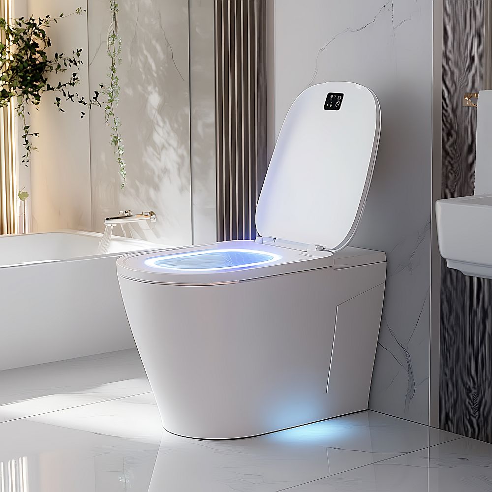 The Intelligent Loo: How Smart Toilets Are Reshaping Public Space