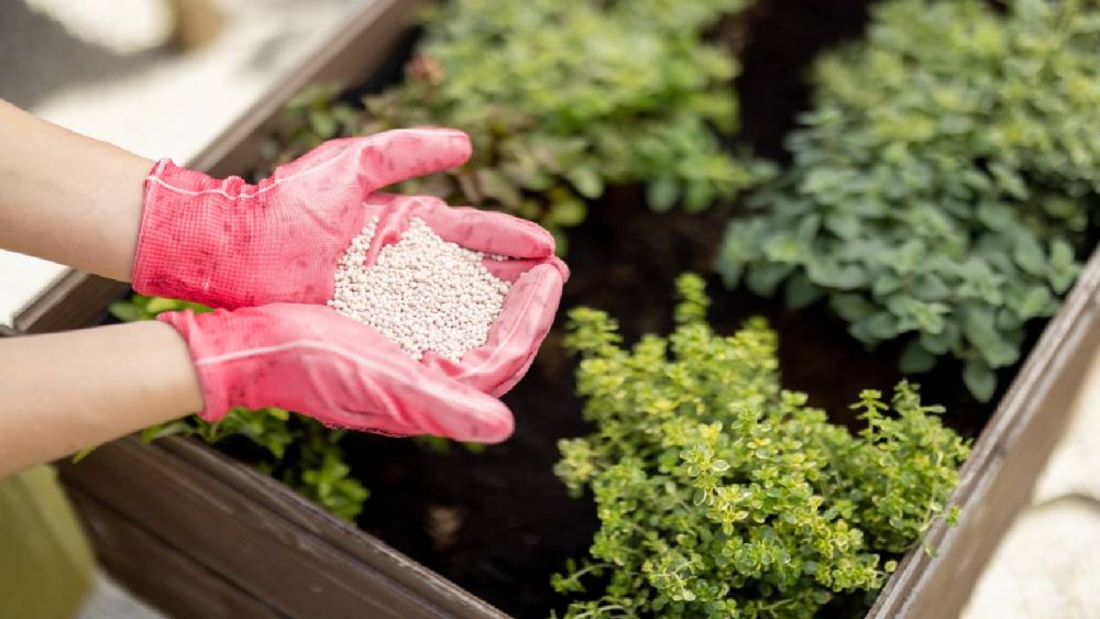 Transform Your Outdoor Space: The Singapore Landscape Revolution