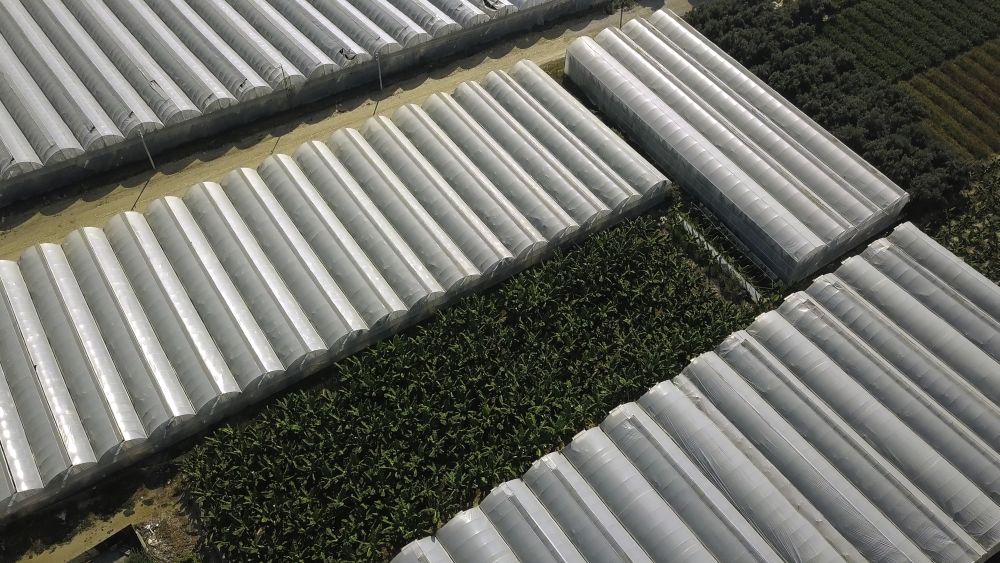 Green Roof Systems: Installation Layers and Structural Requirements
